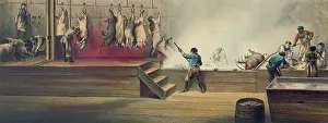 Immersion: Pork packing house in Cincinnati, Ohio, ?