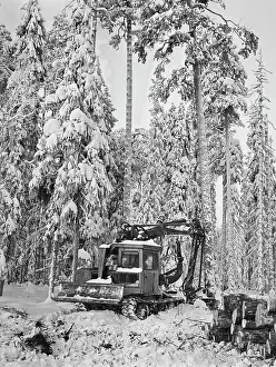 Karelian: Porosozersky forest complex enterprise