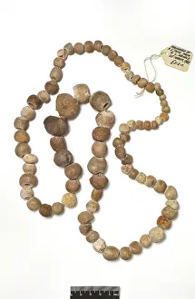 Bead: Porosphaera (sponge) necklace