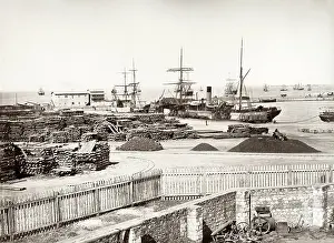 Bonfils: The port of Alexandria, Egypt