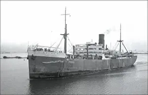 Ponsonby: The Port Campbell Steamship