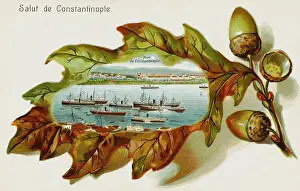 Acorns: The port of Constantinople