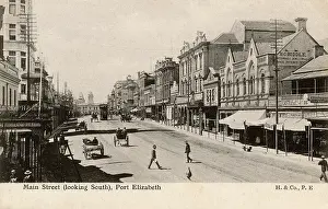 Biddle: Port Elizabeth, Eastern Cape Province, South Africa