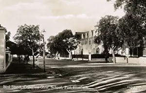 Collegiate: Port Elizabeth, Eastern Cape Province, South Africa