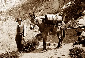 Grindelwald: A porter on a glacier, Grindelwald, Switzerland