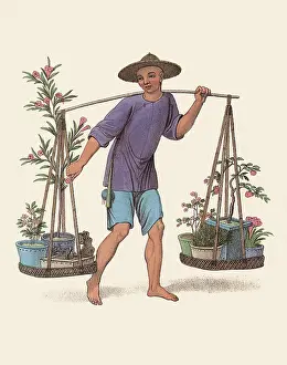 Potted: Porter with Plants
