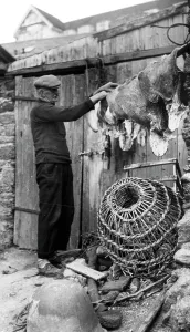 Porthleven: Porthleven, Preparing the Bait c1955