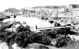 Porthmadog: Porthmadog, Harbour 1908
