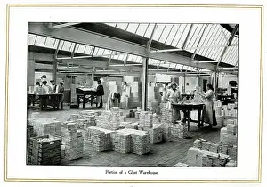 Portion: Portion of a Glost Warehouse, Alfred Meakin