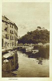Portofino: Portofino - Italy - The Harbour