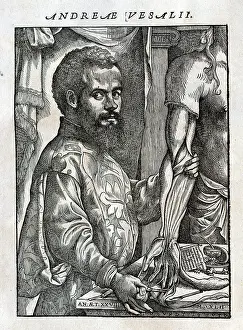Vesalius: Portrait of Andreas Vesalius