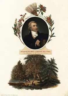 Dr. Robert John Thornton: Portrait of Aylmer Bourke Lambert, botanist
