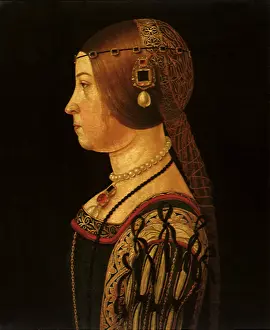 1490: Portrait of Barbara Pallavicino