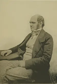 Maull: Portrait of Charles Darwin (1809-1882)
