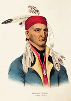 Chippewa: Portrait of chippewa chief image stone or shingaba