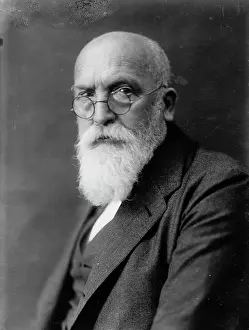 Gottlob: Portrait of Ferdinand Hochstetter