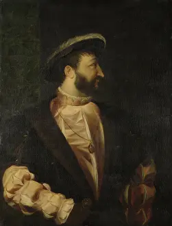 Combed: Portrait of Francis I