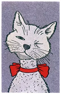 Appealing: PORTRAIT OF GREY CAT