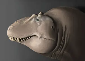 Close Up: Portrait of the head of a Lythronax dinosaur