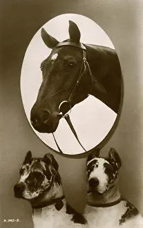 Tack: Portrait of a horse and two hounds