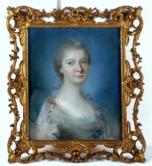 Rosalba: Portrait of a lady, work