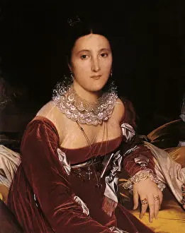 Viscountess: Portrait of Madame de Senonnes, by Ingres