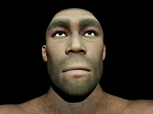 Ancestor: Portrait of a male Homo Erectus