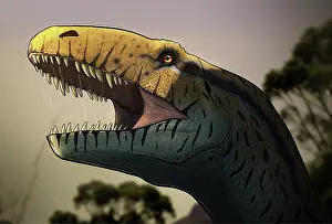 Megalosaurus: Portrait of a Megalosaurus dinosaur