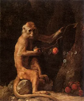 Apes: Portrait of a Monkey, by Stubbs