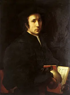 Pontormo: Portrait of a Musician