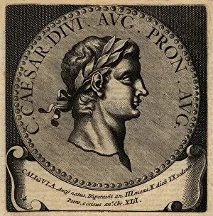 Constantius: Portrait of Roman Emperor Caligula