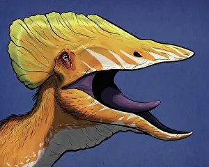 Crowing: Portrait of a Tupuxuara dinosaur