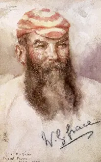 Tuke: Portrait of W. G. Grace
