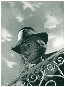 Netted: Portrait Of A Woman