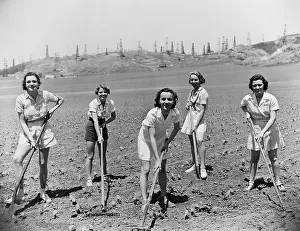 Cultivating: Portrait of women digging in field