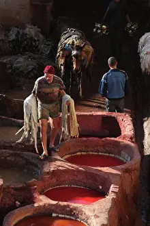 Merinid: Fez