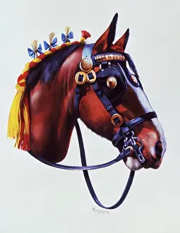 Brasses: Portrait of a working horse at a show