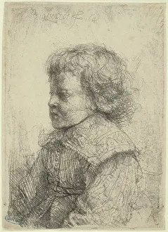Harmensz: Portrait of a young boy