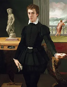 Allori: Portrait of a young Man