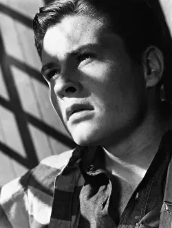 Caged: Portrait of young man with shadow of bars