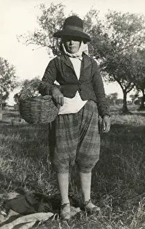 Picker: Portugal - Evora - Olive picker