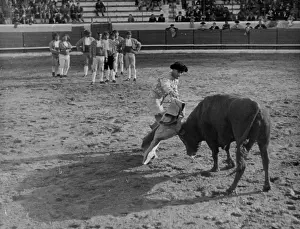 Sufficiently: PORTUGUESE BULLFIGHT