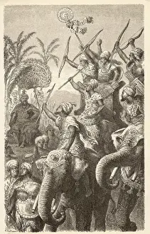 Macedon: PORUS GATHERS ELEPHANTS