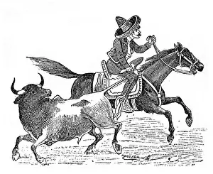 Bullfight: Posada, Programme illustration, Plaza de Toros, Chapultepec