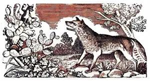 Cunning: Posada, Story of the Wolf and the Fox