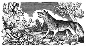 Grimm: Posada, Story of the Wolf and the Fox