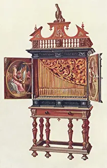 Positive: Positive Organ