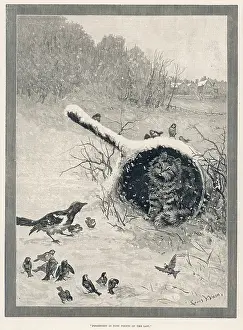 Penniless: Possession is nine points of the law by Louis Wain