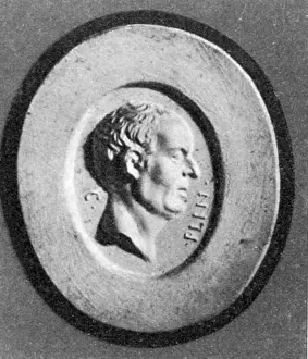 Cameo: Possible Cameo of Pliny the Elder