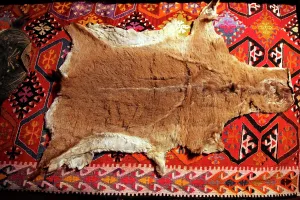 Kilim: Post from Bektashi Meydan
